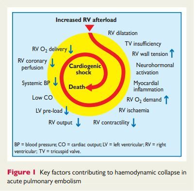 14094058744762.jpg 14094058744762.jpg