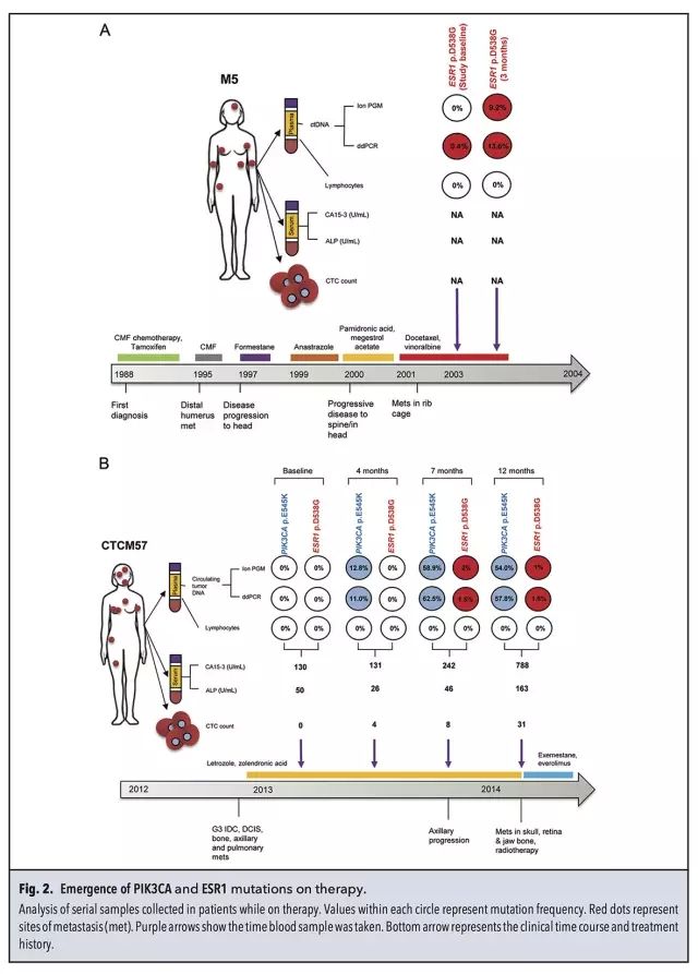 640.webp (3).jpg 640.webp (3).jpg