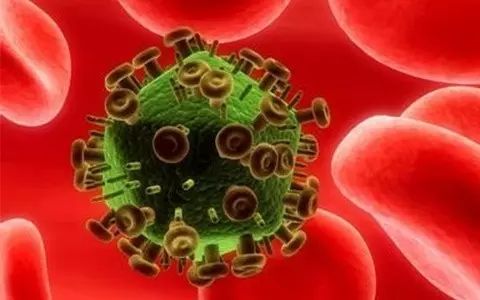 640.webp (1).jpg 640.webp (1).jpg