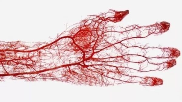 b1a345bd37892a13f1b70e720f2512e4_b.jpg b1a345bd37892a13f1b70e720f2512e4_b.jpg