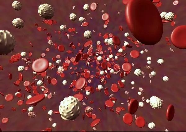 640.webp (13).jpg 640.webp (13).jpg