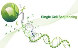 175110rdf2rke9w00s02ow.jpg.thumb.jpg 175110rdf2rke9w00s02ow.jpg.thumb.jpg