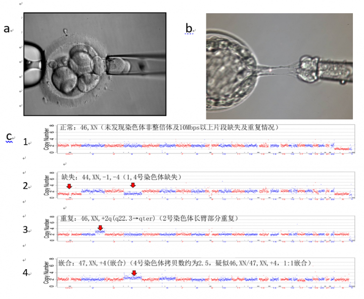 175108d4a5u5ng2anktkug.png 175108d4a5u5ng2anktkug.png