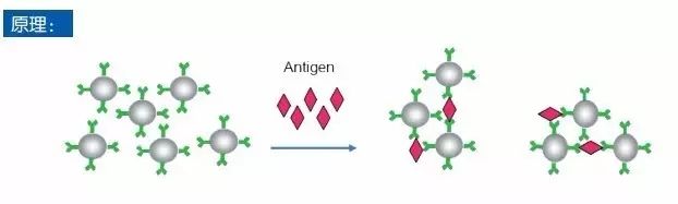 640.webp (12).jpg 640.webp (12).jpg