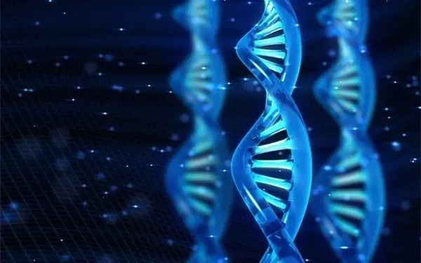 640.webp.jpg 640.webp.jpg