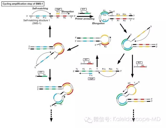 640.webp (2).jpg 640.webp (2).jpg