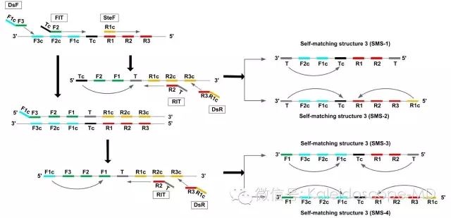 640.webp (1).jpg 640.webp (1).jpg
