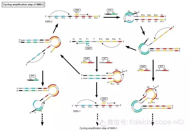 640.webp (3).jpg 640.webp (3).jpg