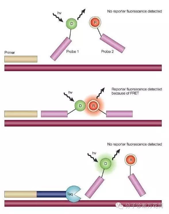 640.webp (5).jpg 640.webp (5).jpg