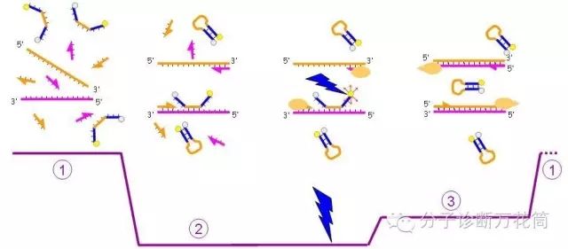 640.webp (4).jpg 640.webp (4).jpg