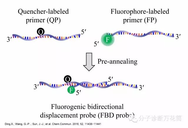 640.webp (6).jpg 640.webp (6).jpg